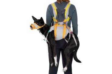 Ruffwear BACKTRAK HUNDE-EVAKUIERUNGSSET Cloudburst Gray Gr.M